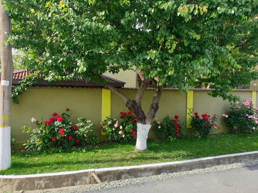 Гостевой дом Vila Mugur Доуэ-Май-53